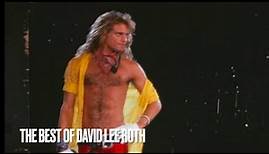 The Best of David Lee Roth