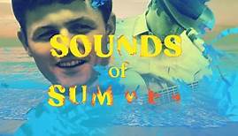 The Beach Boys - 'Sounds of Summer: The Very Best Of The...