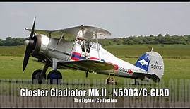 Gloster Gladiator Mk.II, N5903, G-GLAD - The Fighter Collection