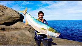 Huge landbased kingfish