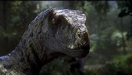 Velociraptor - Einer Der Intelligentesten Dinosaurier Aller Zeiten / Dokumentation