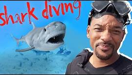 Will smith - Swimming with Sharks | bucket list EP4