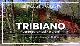 Tribiano - Piccola Grande Italia