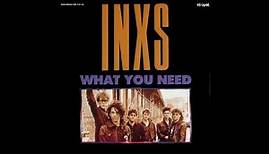 INXS - What You Need (1986 Promo-Vocal/Edited Intro) HQ
