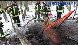 Spektakuläre Rettungsaktion: Feuerwehr rettet Pferde aus Morast - Rathenow - 14.12.2022