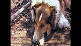 Lassie Come Home - Original Theatrical Trailer