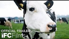 Cow - Official Trailer | HD | IFC Films