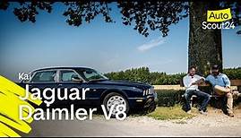 Jaguar Daimler V8: Alles andere als ein Straßenkater.