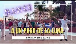 A un paso de la Luna ( Bachata ) ★ Baile en Línea ★ Line Dance ★ Ballo di Gruppo ★ Choreo