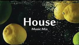 House Music Mix 2020 / Best of House Music Mix 🏠🎵