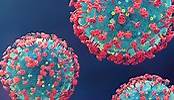 Coronavirus: News, Studien und Inzidenzen in Deutschland und Ländern weltweit | Yahoo Deutschland