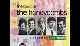 The Honeycombs - Something I got to tell you