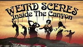 Dave McGowan - 1st interview on "Weird Scenes Inside the Canyon"