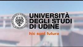 UniUD - University of Udine - Overview