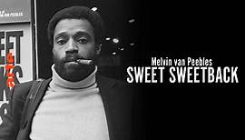Der Pate des Black Cinema - Melvin Van Peebles und Sweet Sweetbacks Lied