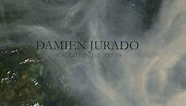 Damien Jurado - Caught In The Trees