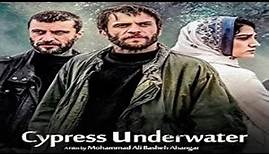 Cypress Under Water 2018 Trailer