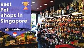 10 Best Pet Shops In Singapore (2024) | Pet Store Near Me | MoreBetter