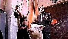 Learned Pigs & Fireproof Women 1989 TV special Ricky Jay hosts