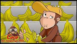 Coco der Neugierige Affe | George bekommt einen Job | Cartoons für Kinder