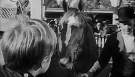 My Brother Talks to Horses (1947) - Original theatrical trailer