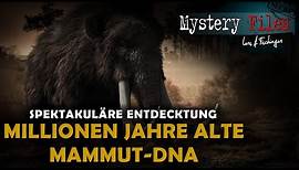 Klonen wir bald Mammuts? Spektakuläre Entdeckung: Millionen Jahre alte Mammut-DNA