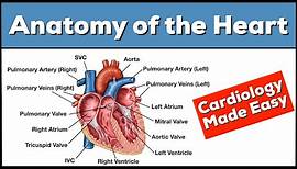 Anatomy of the Heart: Structures and Blood Flow [Cardiology Made Easy]