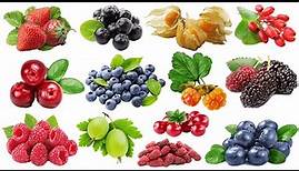 Learn Different Types of Berries Name | Different Types of berries with pictures & names