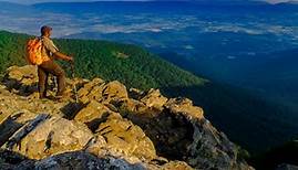 Your guide to Shenandoah National Park: all you need to know about trails, campgrounds, and mountain adventure