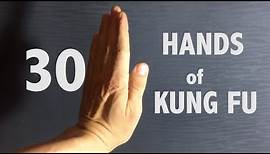 KungFu Styles Hand Techniques | 30 Fists 👊🏻 w Kungfunerd