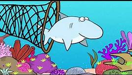 Cartoonist Jim Toomey on Sharks and Ocean Health | Pew