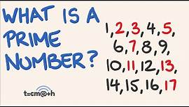 What is a prime number?