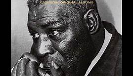 Howlin' Wolf - The Greatest Hits