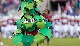 Stanford Tree: Stanford's Unofficial Mascot Explained