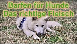 Barfen für Hunde - Das richtige Barf - Fleisch / Hundefutter / Graf Barf / Nature Trails