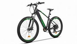 Doc Green's Electric Mountain Bike Offers Big Fun At A Small Price