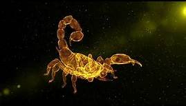The Mysterious Lives of Scorpions: 10 Astonishing Facts