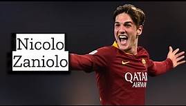 Nicolo Zaniolo | Skills and Goals | Highlights