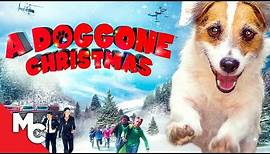 A Doggone Christmas | Full Christmas Movie | Hallmark