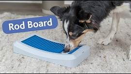 Rod Board - Strategiespiel für Hunde von Trixie Heimtierbedarf