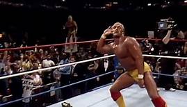 Hulk Hogan Highlights Tribute (Rick Derringer "Real American")