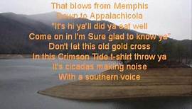 Southern Voice with lyrics- Tim McGraw
