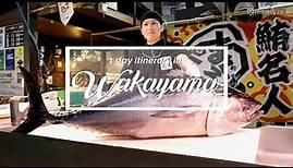 Wakayama - 1 Day Itinerary | Japan Itinerary suggestion