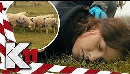 Das Schweigen der Schafe: Tierschützerin lässt ihr eigenes Leben!| 1/2 | K11 - Die neuen Fälle|Sat.1