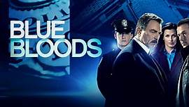 Blue Bloods - Crime Scene New York 14x09