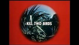 Kill Two Birds - Thriller British TV Series