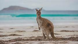 Darum ist Australien der beste Ort für eine Reise – Tourism Australia