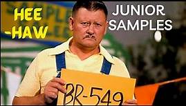 What Happened to the 'Hee Haw' Show Regular Actor Junior Samples?