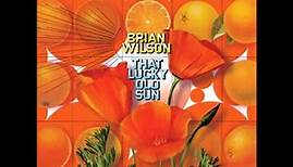 Brian Wilson Lucky Old Sun
