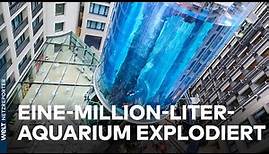UNFALL IM SEA-LIFE: Riesen-Aquarium "Aquadom" in Berlin explodiert